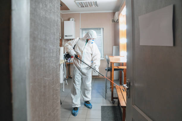 Best Air Quality Testing for Mold Spores  in Penngrove, CA
