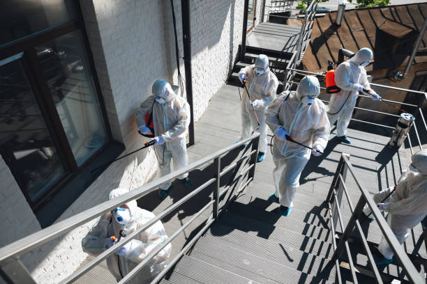 Mold Remediation for Vacation Homes in Penngrove, CA