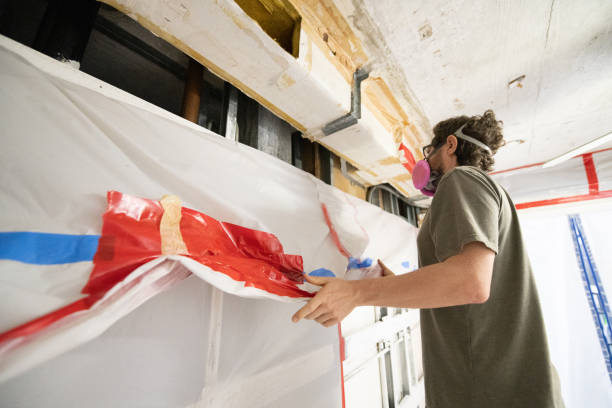 Best Mold Damage Restoration  in Penngrove, CA